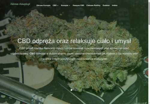 zdrowe-konopie.pl