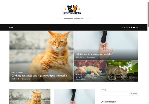 zdrowiekota.pl