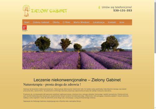 zielonygabinet.pl