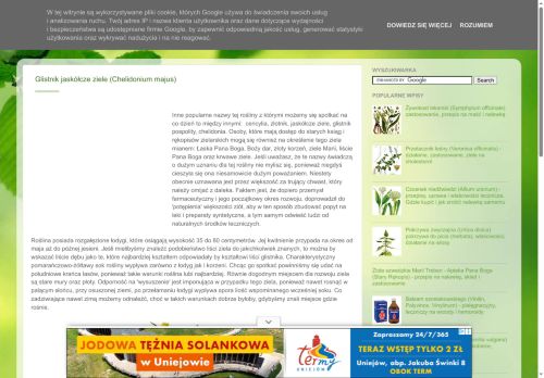 ziolowa-apteka.blogspot.com