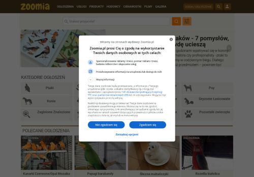 zoomia.pl