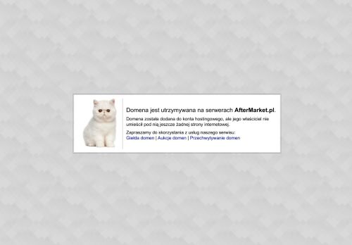 zvo.pl