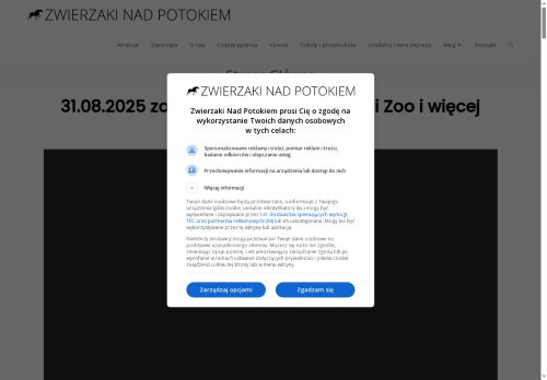 zwierzakinadpotokiem.pl