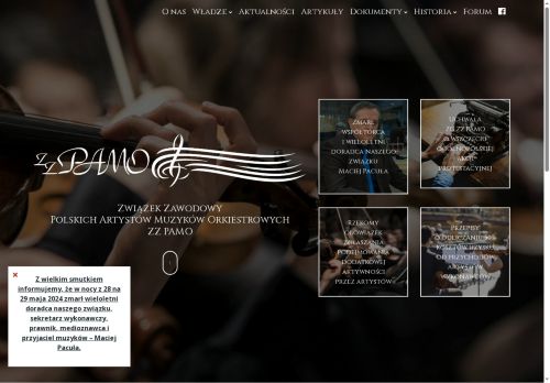 zzpamo.pl